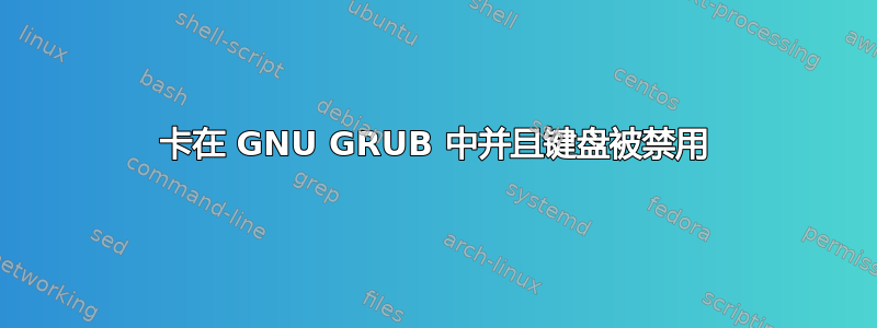 卡在 GNU GRUB 中并且键盘被禁用