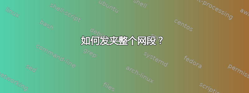 如何发夹整个网段？