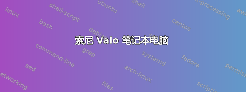 索尼 Vaio 笔记本电脑