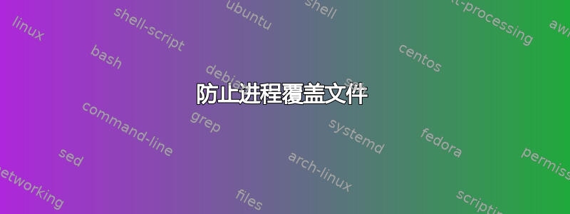 防止进程覆盖文件