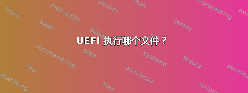 UEFI 执行哪个文件？