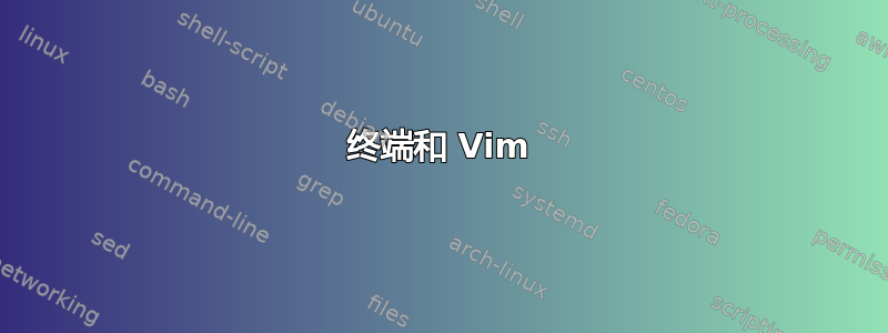 终端和 Vim