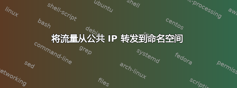 将流量从公共 IP 转发到命名空间