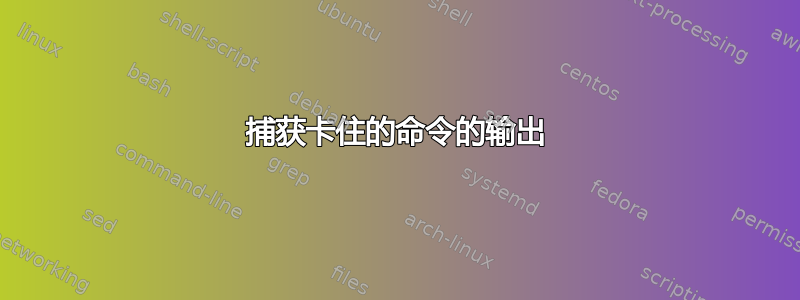 捕获卡住的命令的输出