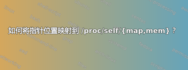 如何将指针位置映射到 /proc/self/{map,mem}？