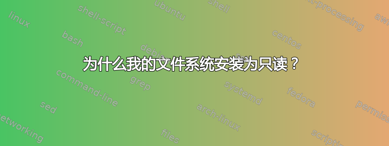 为什么我的文件系统安装为只读？