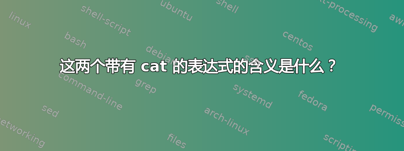 这两个带有 cat 的表达式的含义是什么？