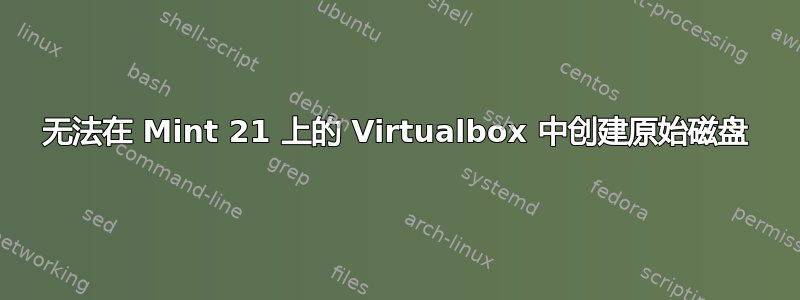 无法在 Mint 21 上的 Virtualbox 中创建原始磁盘