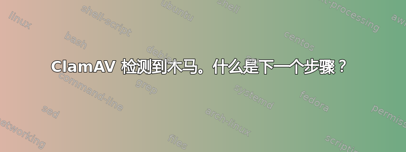 ClamAV 检测到木马。什么是下一个步骤？