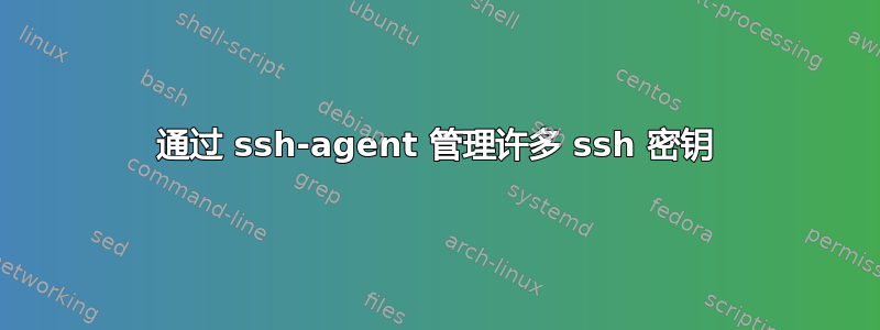 通过 ssh-agent 管理许多 ssh 密钥