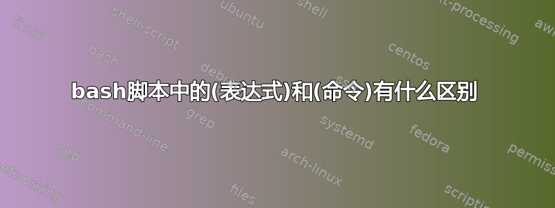 bash脚本中的(表达式)和​​(命令)有什么区别