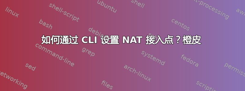 如何通过 CLI 设置 NAT 接入点？橙皮