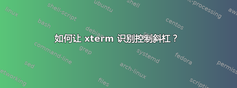 如何让 xterm 识别控制斜杠？