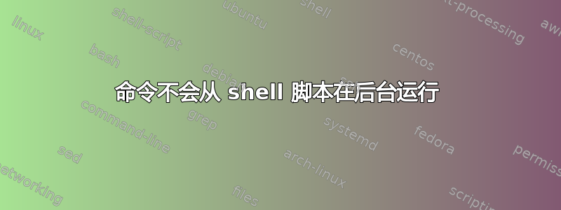 命令不会从 shell 脚本在后台运行