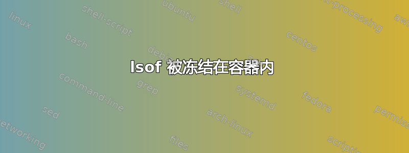 lsof 被冻结在容器内