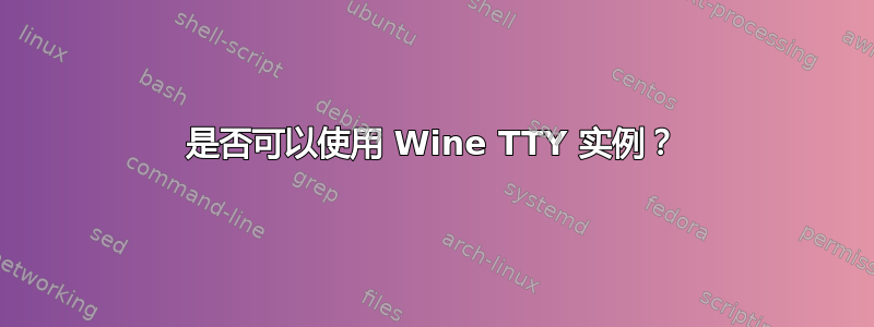 是否可以使用 Wine TTY 实例？