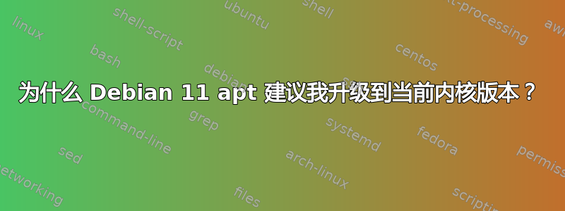 为什么 Debian 11 apt 建议我升级到当前内核版本？