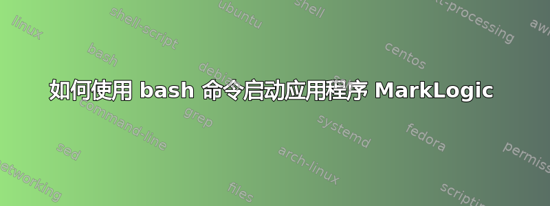 如何使用 bash 命令启动应用程序 MarkLogic