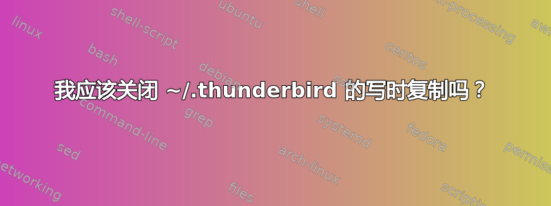 我应该关闭 ~/.thunderbird 的写时复制吗？