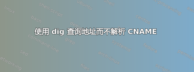 使用 dig 查询地址而不解析 CNAME