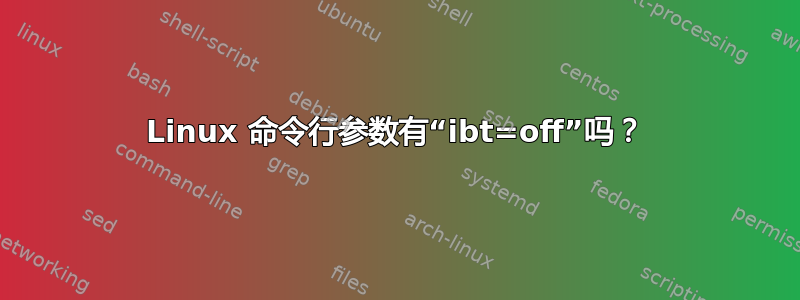 Linux 命令行参数有“ibt=off”吗？