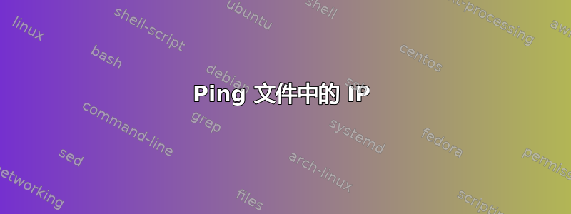 Ping 文件中的 IP