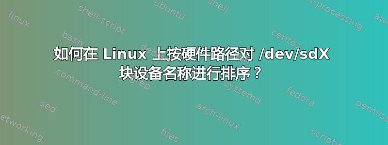 如何在 Linux 上按硬件路径对 /dev/sdX 块设备名称进行排序？