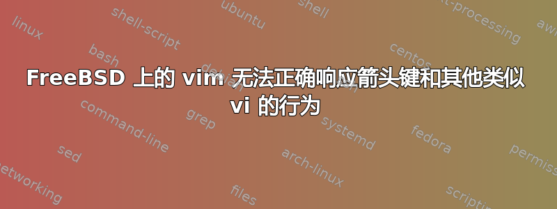 FreeBSD 上的 vim 无法正确响应箭头键和其他类似 vi 的行为