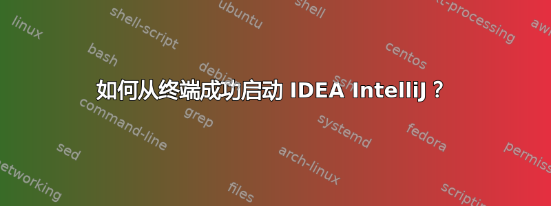 如何从终端成功启动 IDEA IntelliJ？