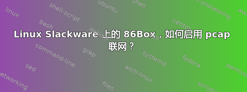 Linux Slackware 上的 86Box，如何启用 pcap 联网？