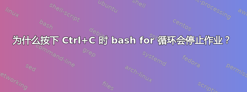 为什么按下 Ctrl+C 时 bash for 循环会停止作业？