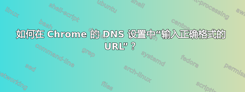 如何在 Chrome 的 DNS 设置中“输入正确格式的 URL”？