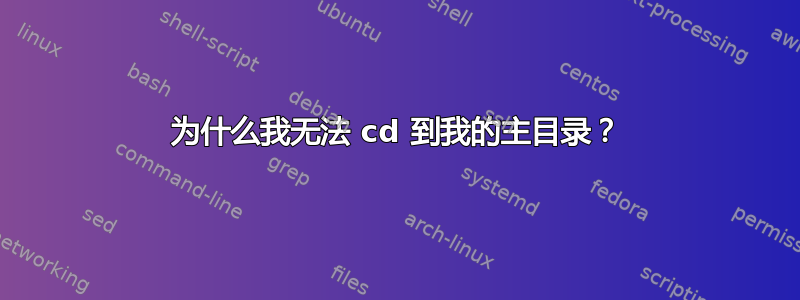 为什么我无法 cd 到我的主目录？