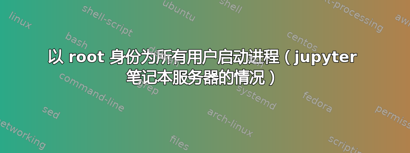 以 root 身份为所有用户启动进程（jupyter 笔记本服务器的情况）