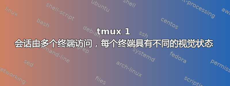 tmux 1 会话由多个终端访问，每个终端具有不同的视觉状态