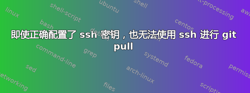 即使正确配置了 ssh 密钥，也无法使用 ssh 进行 git pull