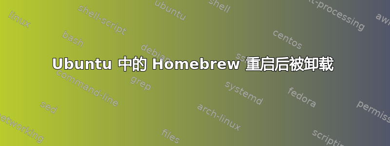 Ubuntu 中的 Homebrew 重启后被卸载