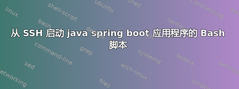 从 SSH 启动 java spring boot 应用程序的 Bash 脚本