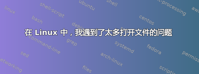 在 Linux 中，我遇到了太多打开文件的问题