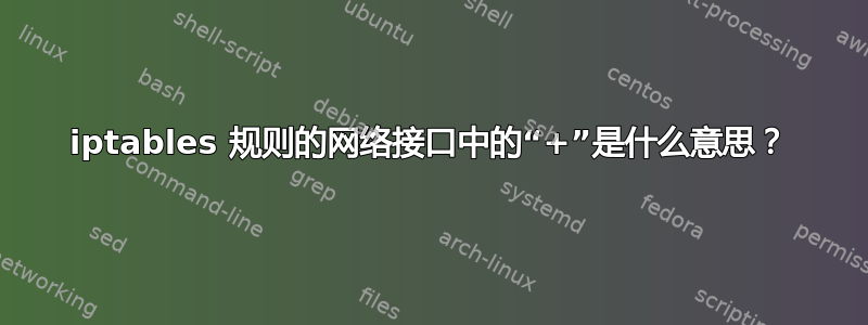 iptables 规则的网络接口中的“+”是什么意思？