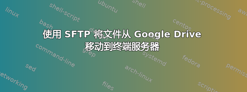 使用 SFTP 将文件从 Google Drive 移动到终端服务器