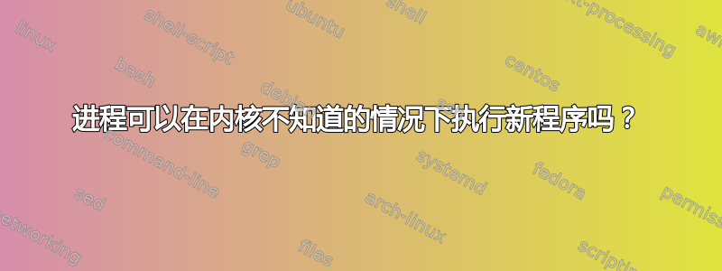 进程可以在内核不知道的情况下执行新程序吗？