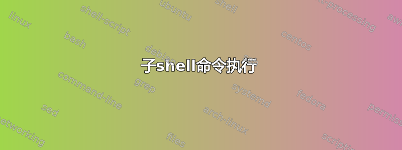 子shell命令执行