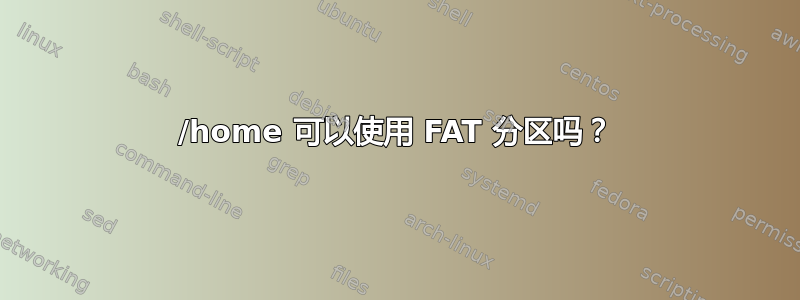 /home 可以使用 FAT 分区吗？