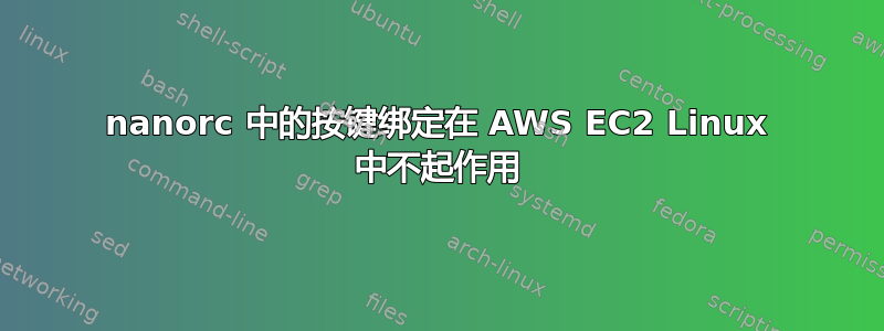 nanorc 中的按键绑定在 AWS EC2 Linux 中不起作用