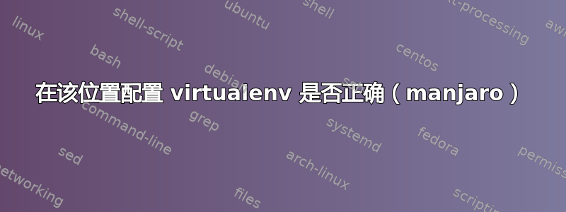 在该位置配置 virtualenv 是否正确（manjaro）