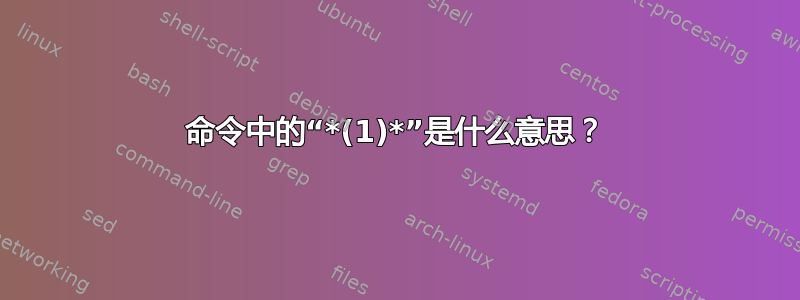 命令中的“*(1)*”是什么意思？