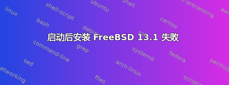 启动后安装 FreeBSD 13.1 失败