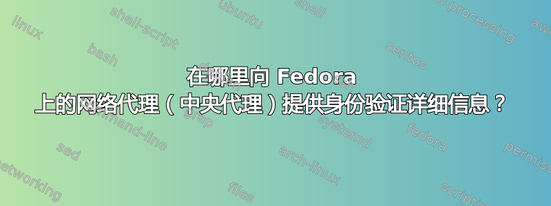 在哪里向 Fedora 上的网络代理（中央代理）提供身份验证详细信息？