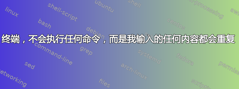 终端，不会执行任何命令，而是我输入的任何内容都会重复